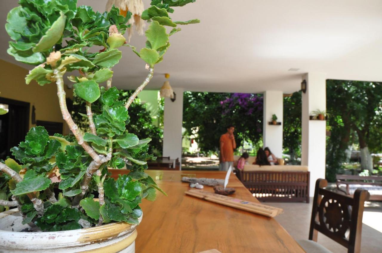 Çıralı San Simon Hotel מראה חיצוני תמונה