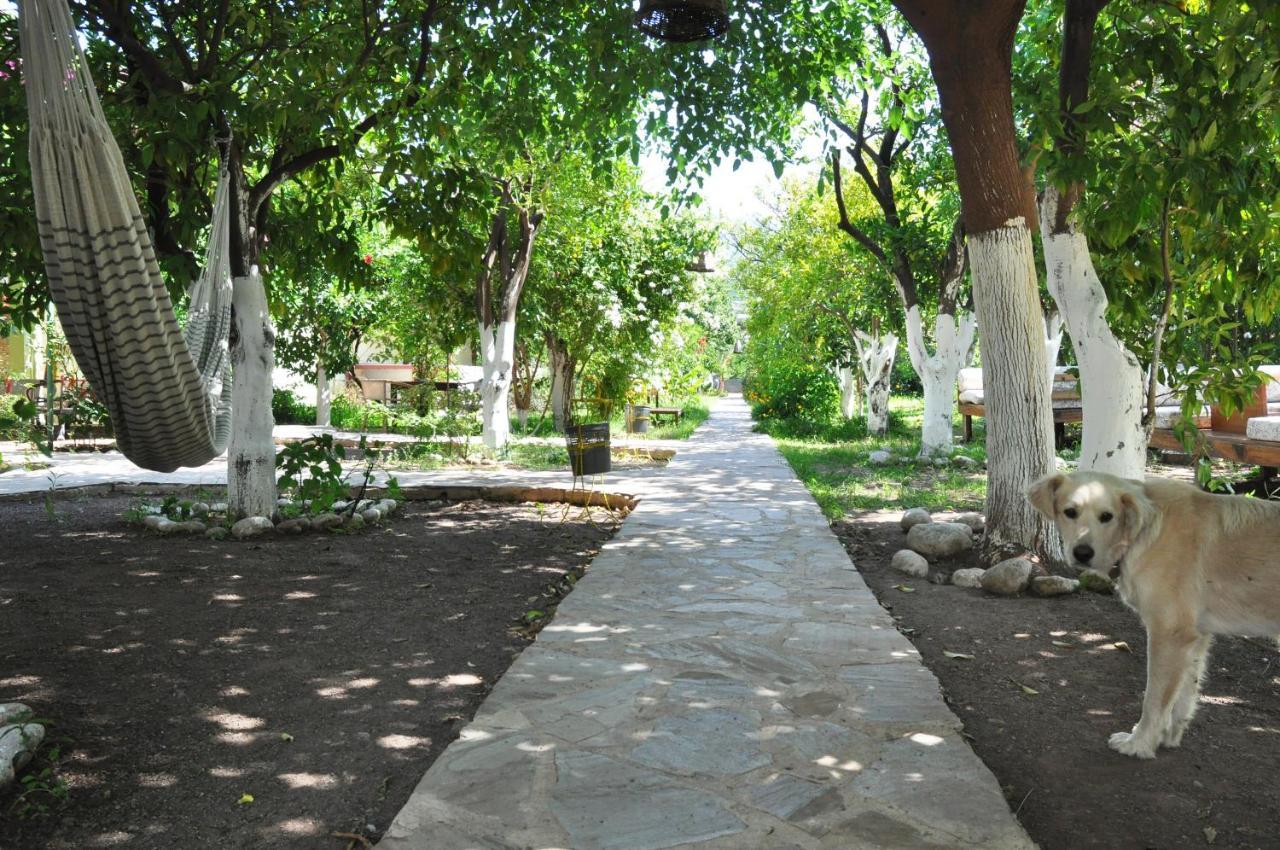 Çıralı San Simon Hotel מראה חיצוני תמונה