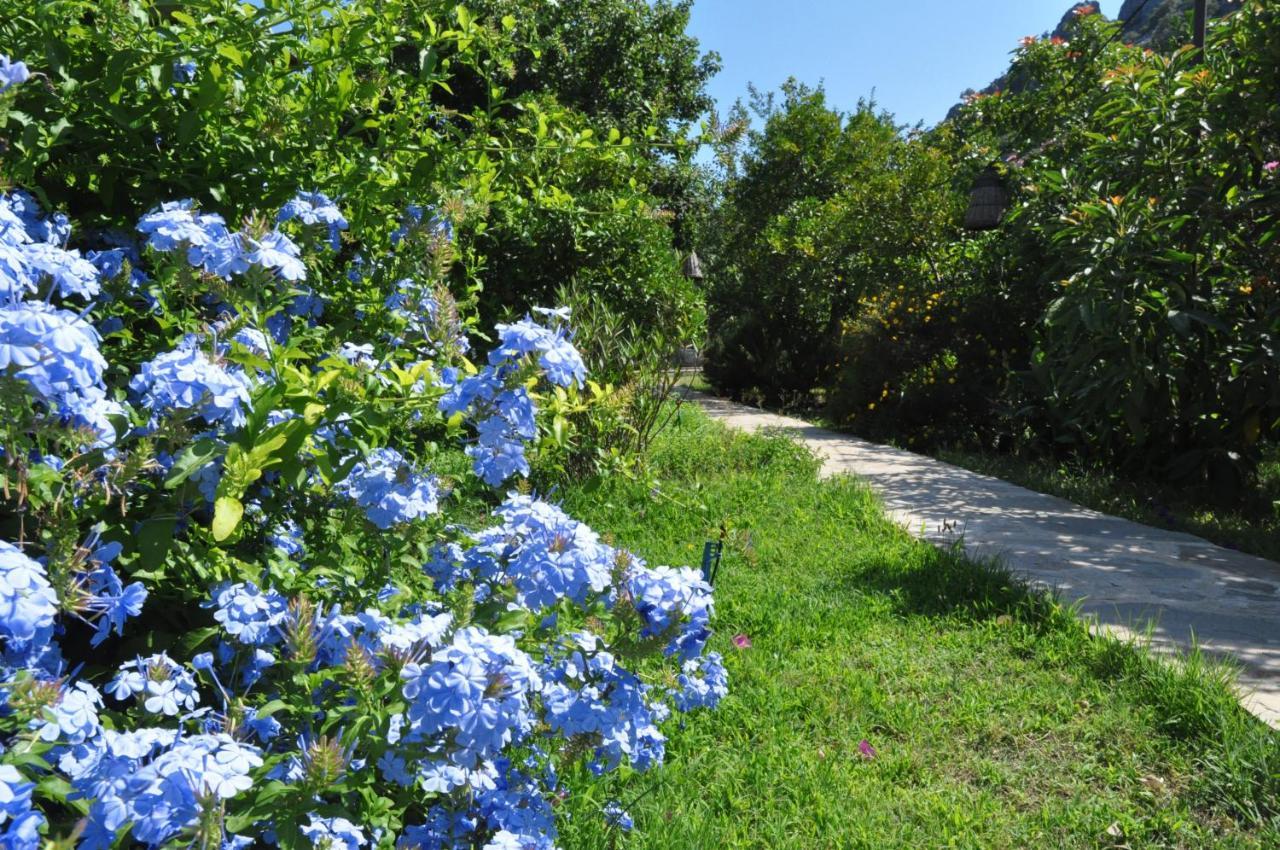 Çıralı San Simon Hotel מראה חיצוני תמונה